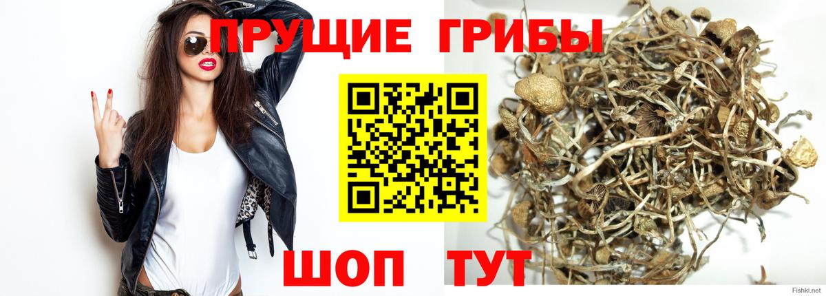 Галлюциногенные грибы мицелий  Вход с VPN  Псилоцибиновые грибы GOLDEN TEACHER  Клин 